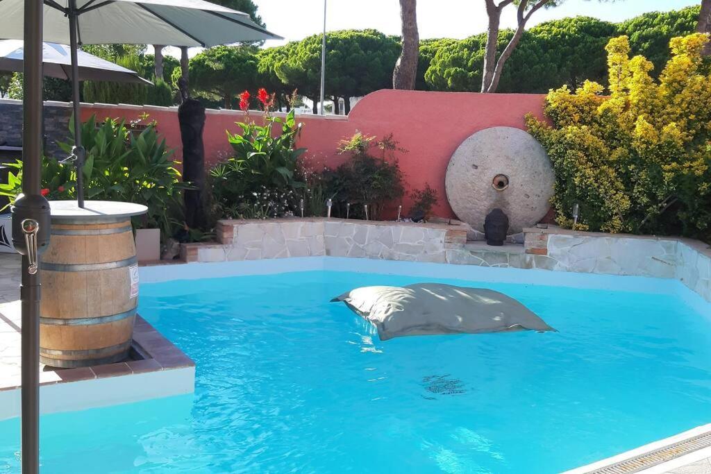 Hebergement Chambre D'Hotes Grau Du Roi Mas Des Marines Piscine Adult Only Le Grau-du-Roi Ngoại thất bức ảnh