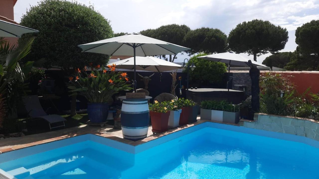 Hebergement Chambre D'Hotes Grau Du Roi Mas Des Marines Piscine Adult Only Le Grau-du-Roi Ngoại thất bức ảnh